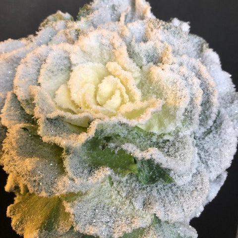 18.5" Snow Cabbage Ornamental Stem